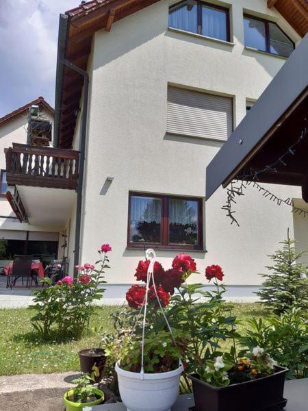 Thueringer Apartment