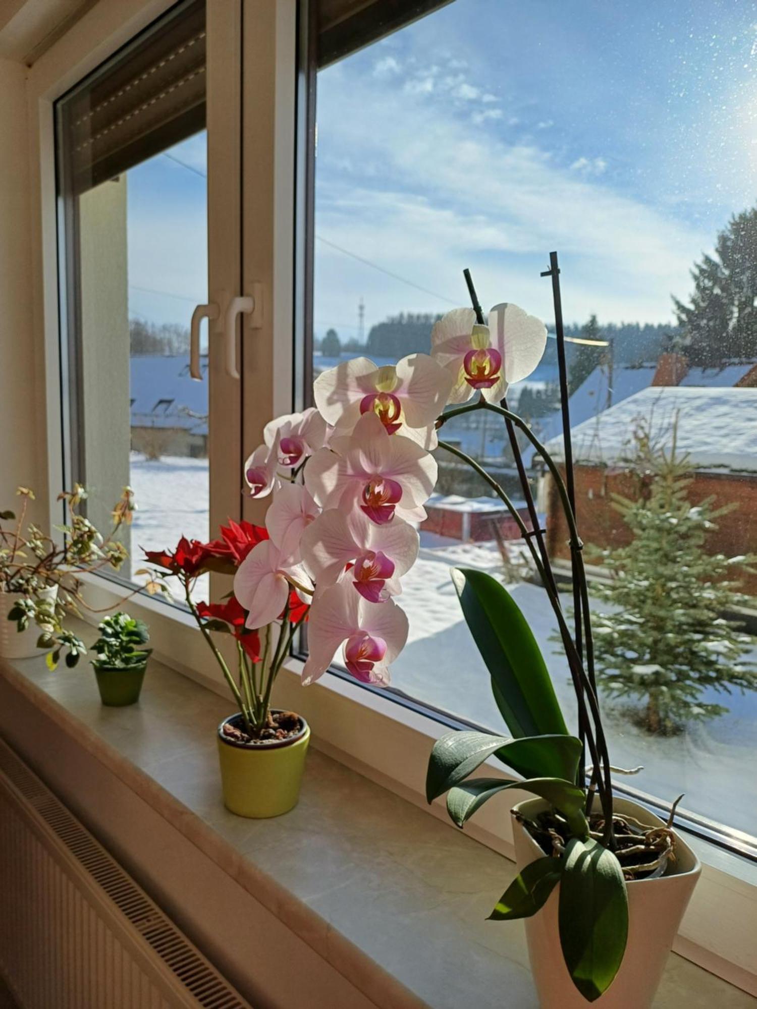 Apartment Thueringer
